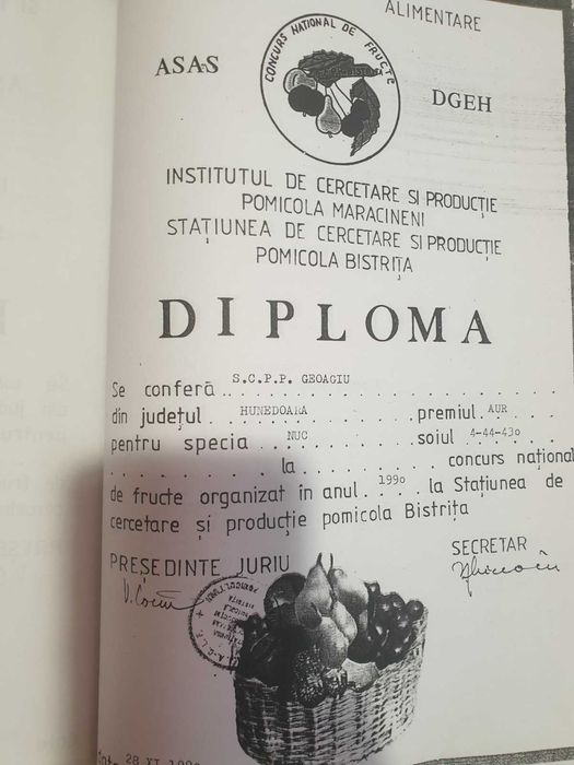 Vindem si plantam nuci altoiți Românești Geoagiu