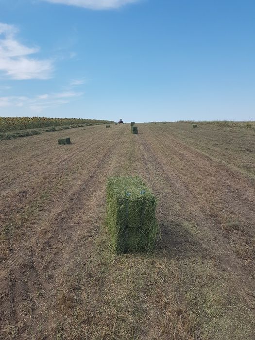 Vind baloti lucerna curata neploata coasa 2 si 3