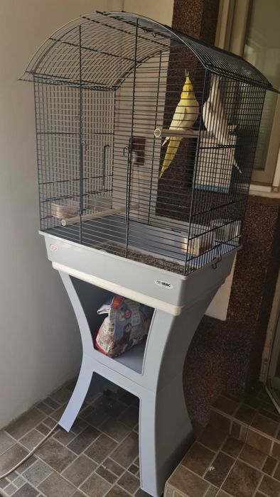 Vand papagali nimfa,mascul si femela+colivie mare!