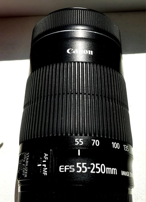 Canon 55-250 mm, Canon 50mm 2.8 EX DG macro