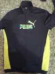 trening puma,adidas
