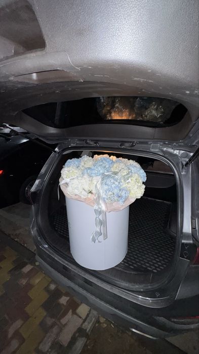 Гортензия 21шт свежие получили вчера 00:00