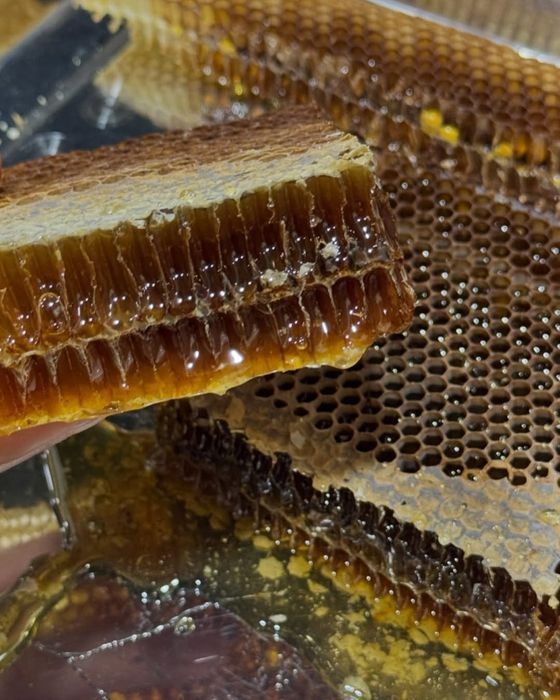 Toza tog' Asalari ini