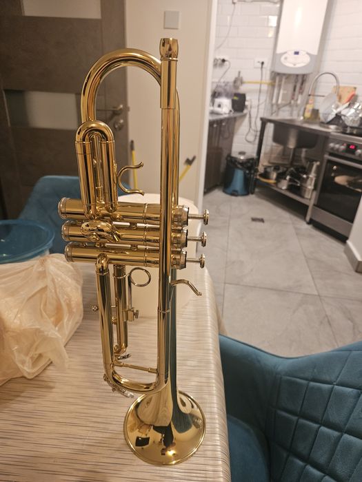 Instrumente muzicale