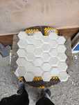 Panouri decorative ipsos