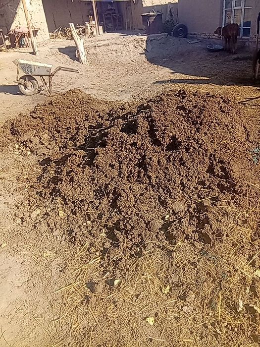 Молни дарси бор бепул