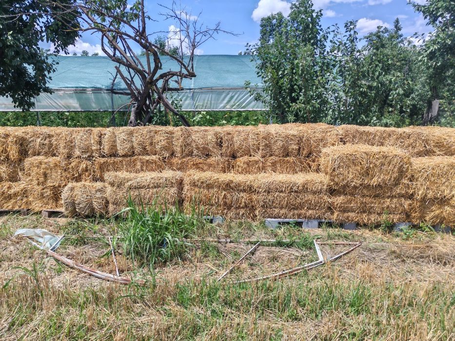 Baloți din paie de grâu