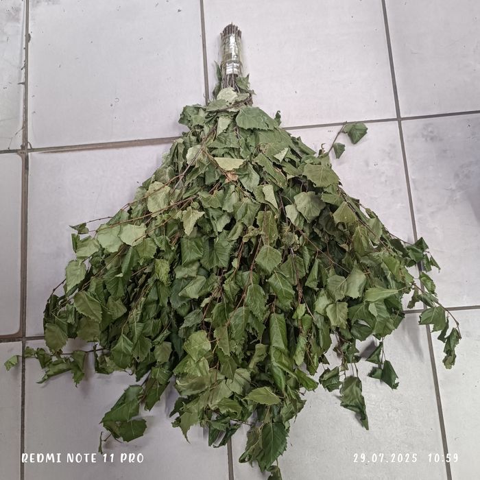 Продам берёзовые веники