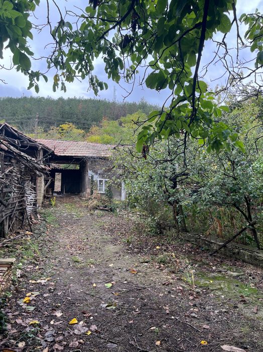 Къща с двор, с. Горско Абланово, СОБСТВЕНИК