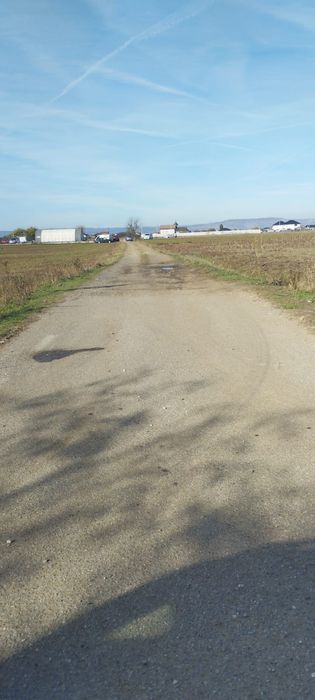 Teren Simian 1000 mp