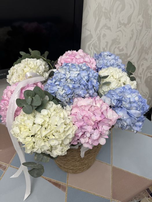 Продам цветы в корзине гортензий свежие