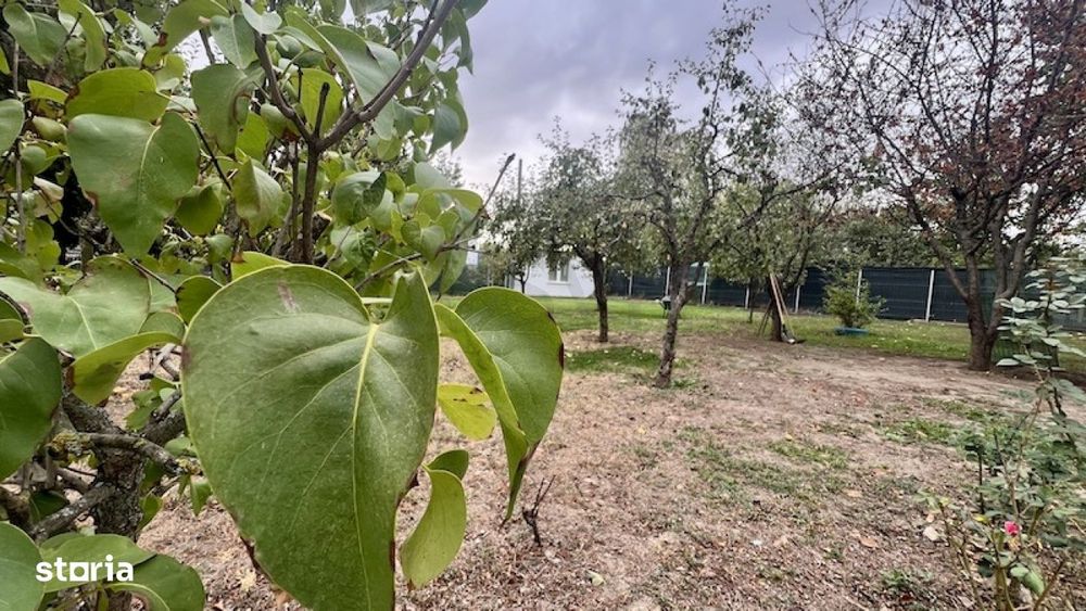 Vila De Inchiriat Baneasa L Pozitionare Excelenta