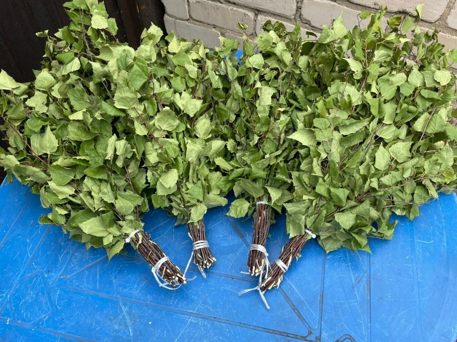 Берёзовые веники