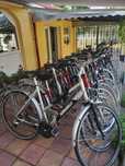 Biciclete dama...