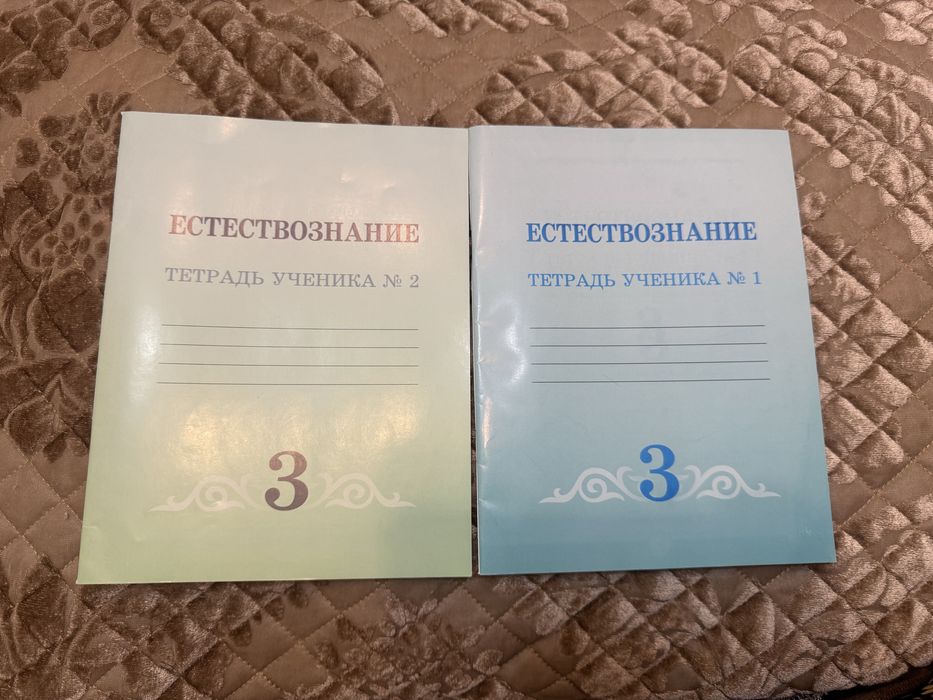 рабочая тетрадь по естествознанию