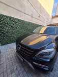 Mercedes ML 250 W 166