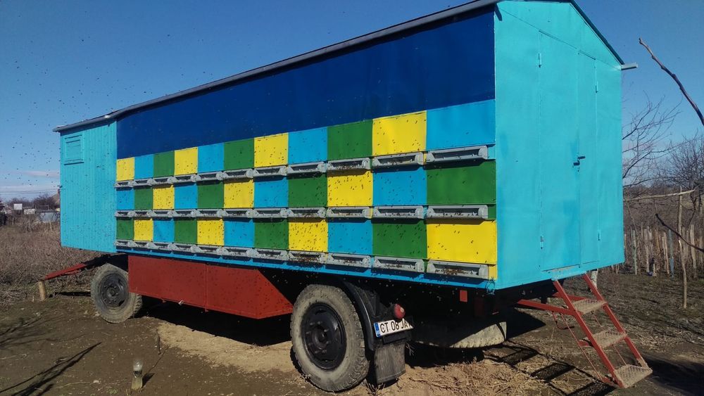 PAVILION APICOL, fără albine