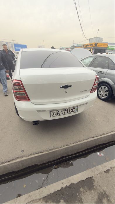 Cobalt 2024 Arenda 25-30%