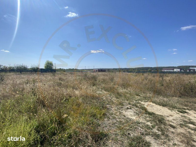 Teren zona Magic Trivale intravilan 1040 mp