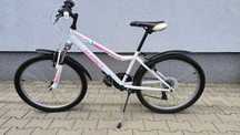 Mountain Bike X-Fact 24 inch alb fete