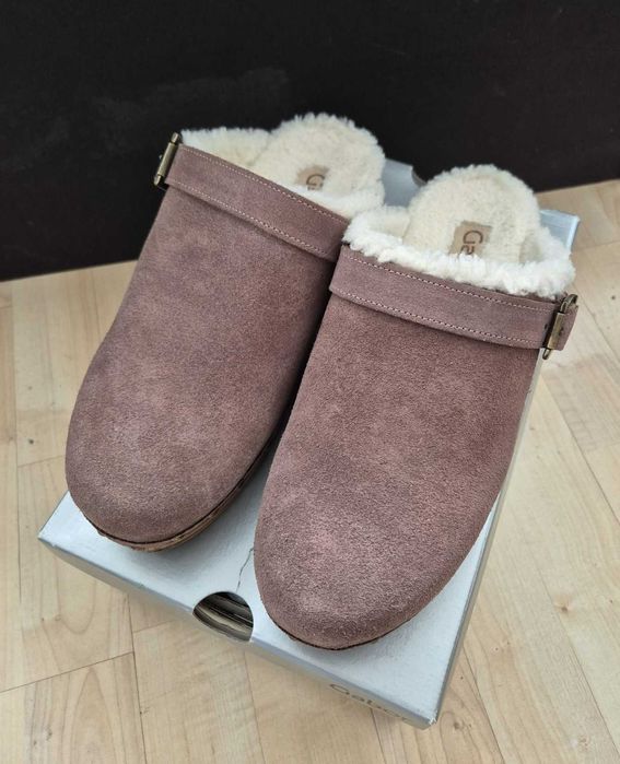 Saboti Gabor imblaniti