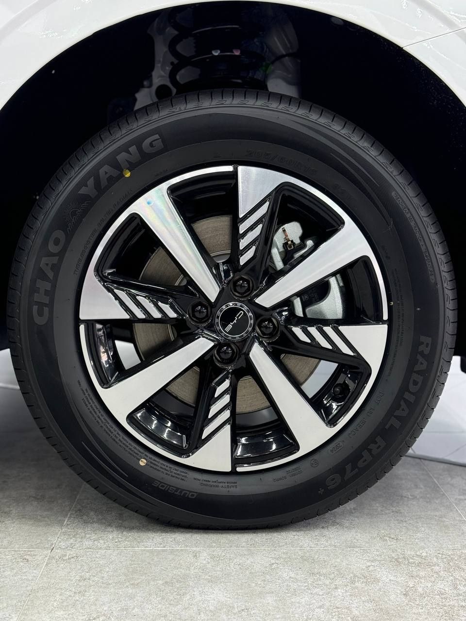 Byd e2 luxry full natariusga tayor