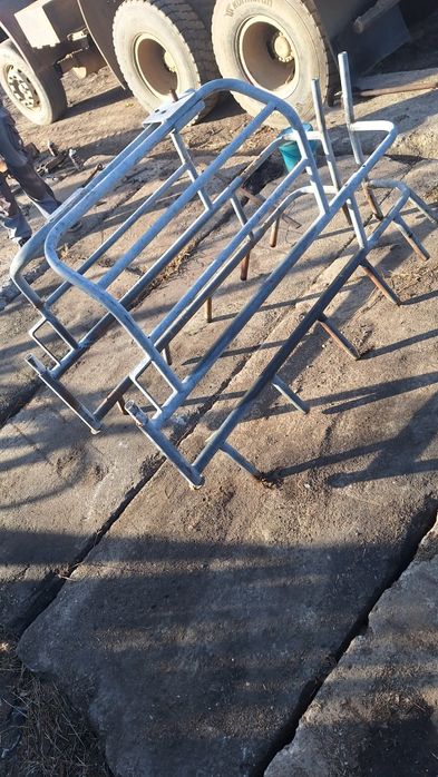 Boxa fătare scroafa