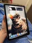 Ipad Air 4 (2020)