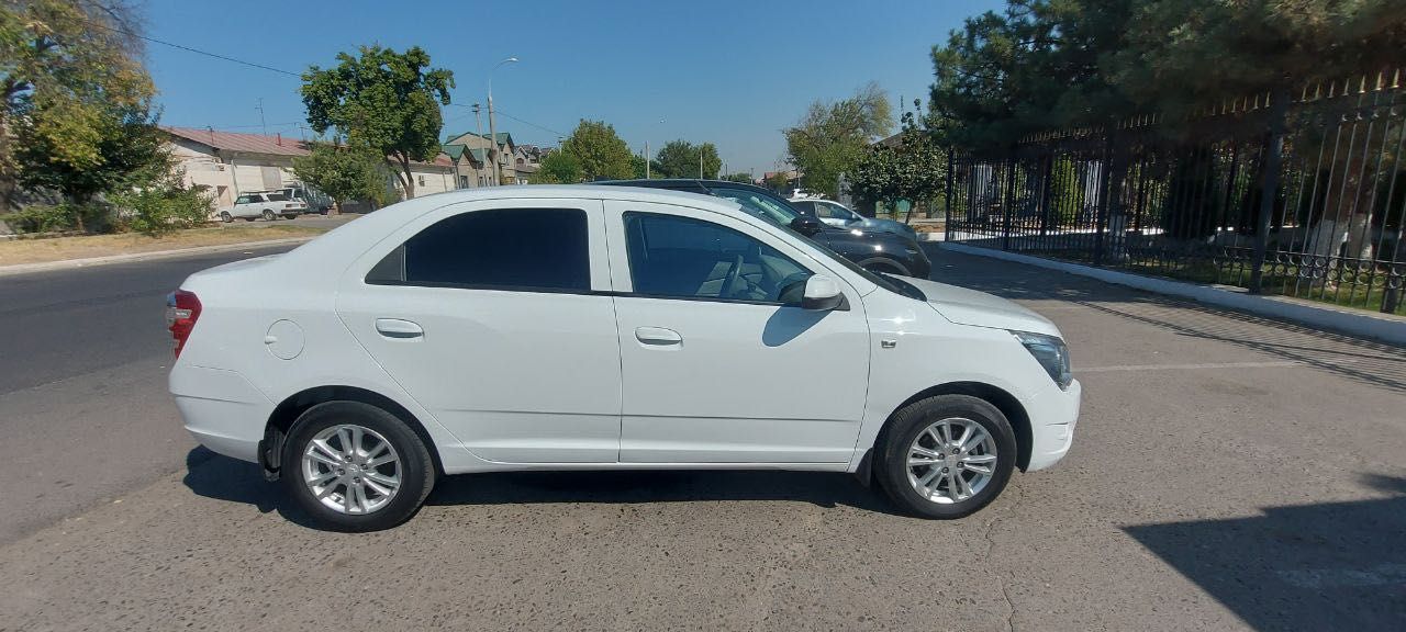 Cobalt top toza 2022