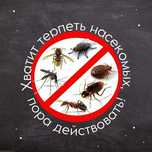 Дезинфекция от насекомых | dezinfeksia | дезинфекция YT-07