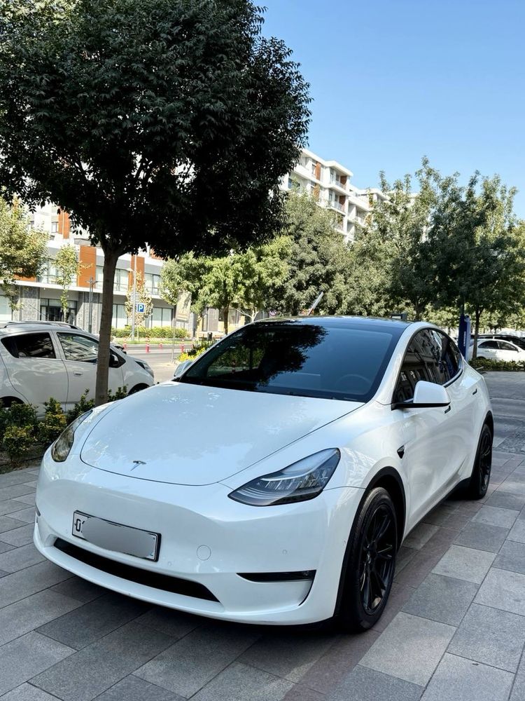 Tesla Model Y Dual Motor Long Range 2021/2022 America