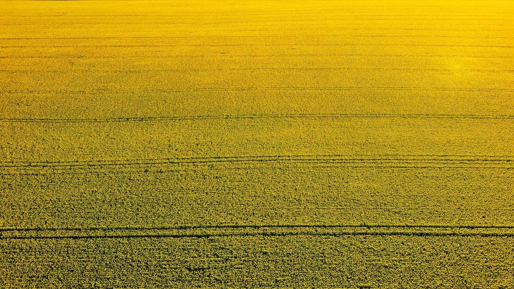 Ofer servicii profesionale foto/video cu drona + editari