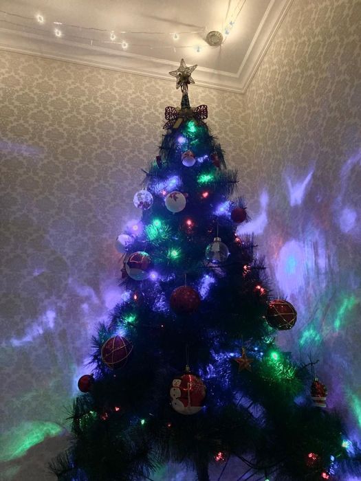 Продам елку.