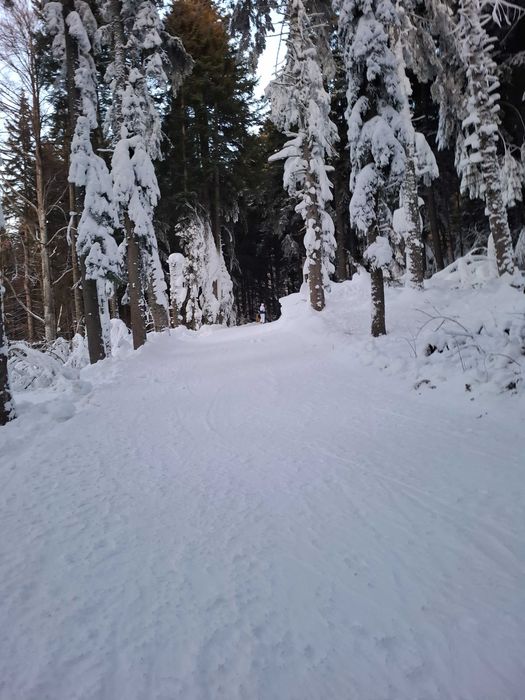 Instructor schi  Poiana Brasov