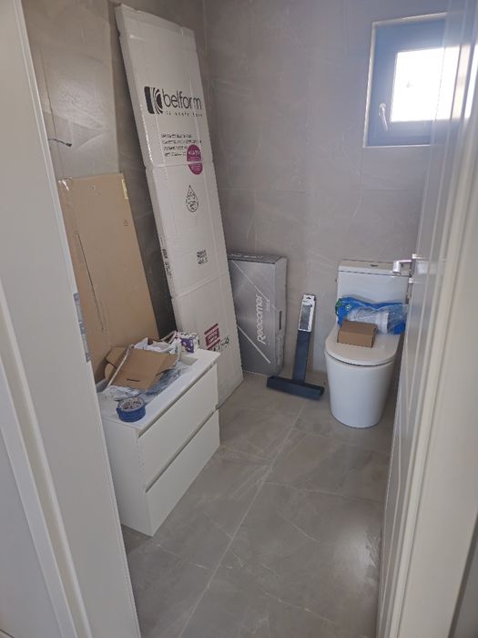Vand casa individuala / Mosnita Noua / Proprietar