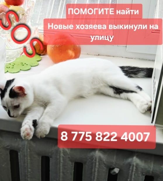 Помогите найти!  SOS!