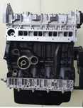 Motor 2.3 JTD Iveco Daily Fiat Ducato F1AE3481 E5
