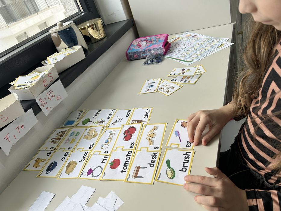 Limba engleza Lujerului