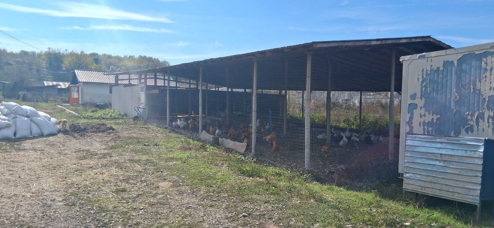 Ferma de vanzare , zona Dambu