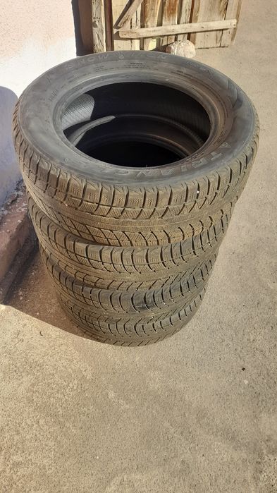 Зимние шины Triangle