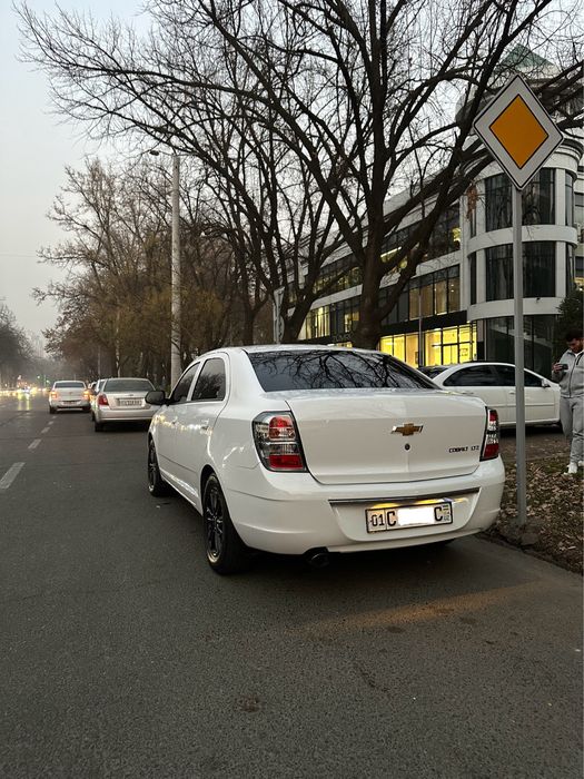 Cobalt midnight 24/25