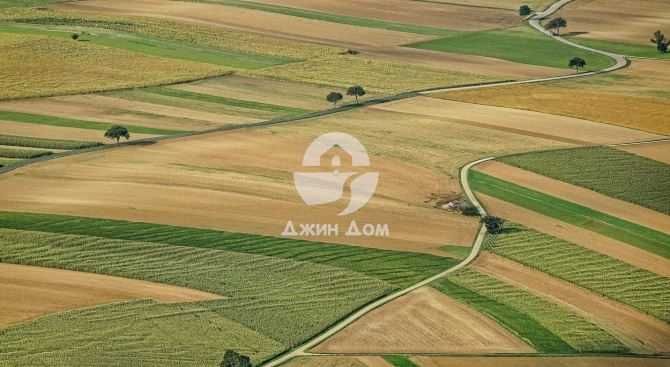 Парцел в гр. Българово