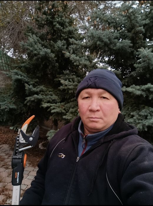 Обрезка Плодово ягодных деревьев и кустарников. Хвойных деревьев.