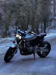 Honda Hornet 600