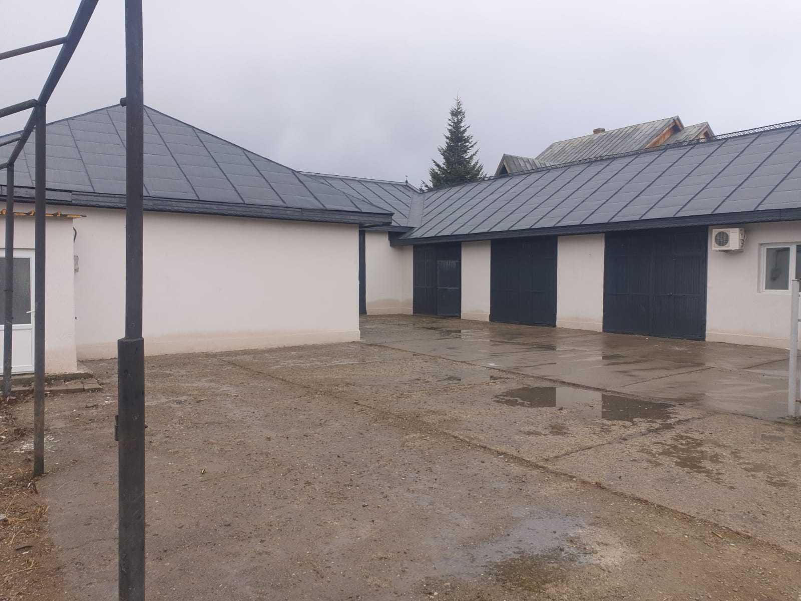 Hala Calea Moldovei