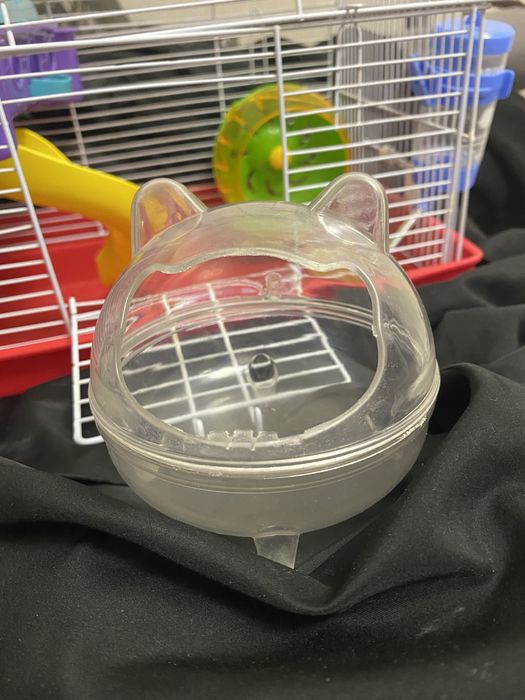 cusca hamsteri pitici