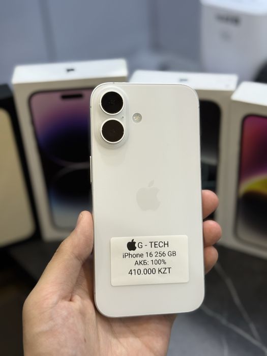 iPhone 16 / 256 / 100%
