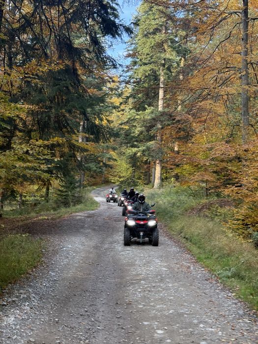 Inchirieri atv busteni