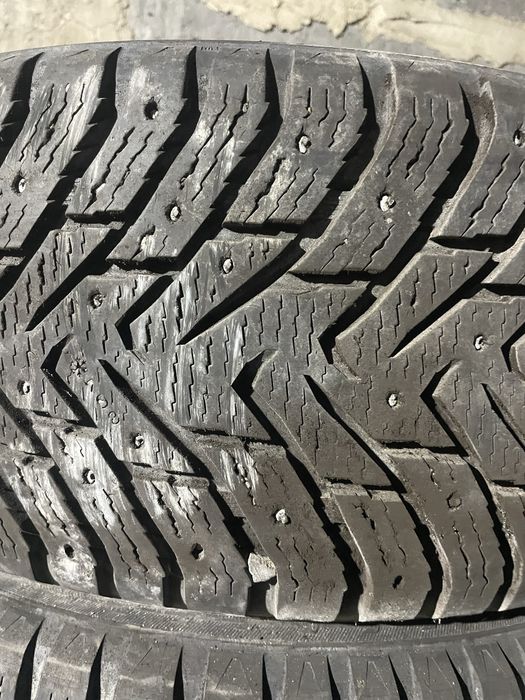 Шины Nokian Hakapilita