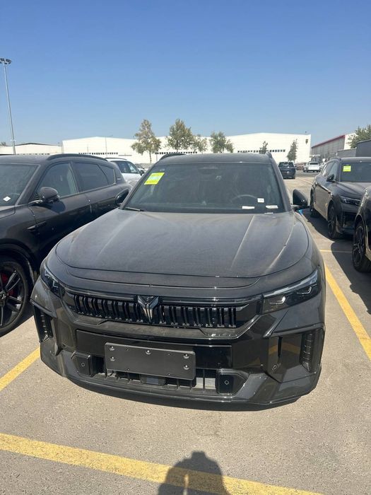 **Voyah free 318 appolotech